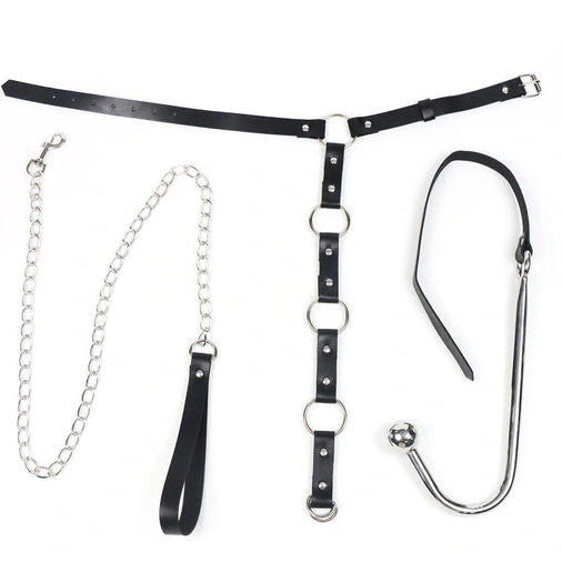 Anal Hooks 5853 Collar and Kinky Anal EverydayUse with Hook Leash 0920